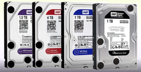 What Different Western WD) hard disk colors Blue, Green, Black, Red, Purple, Gold Means - Data Recovery in Ahmedabad, Best Data Recovery in India